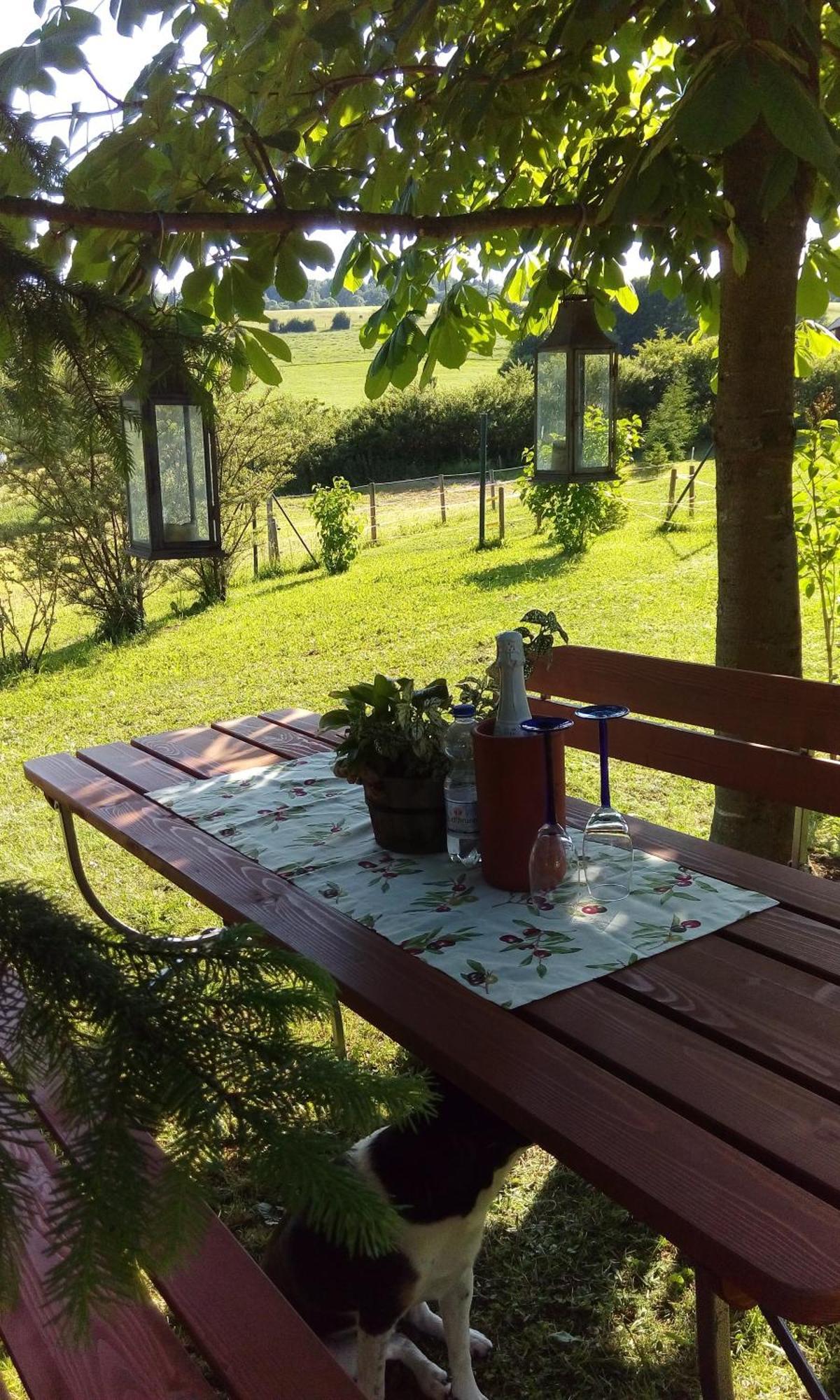 Ferienwohnung Am Hochrhoener Andenhausen エクステリア 写真